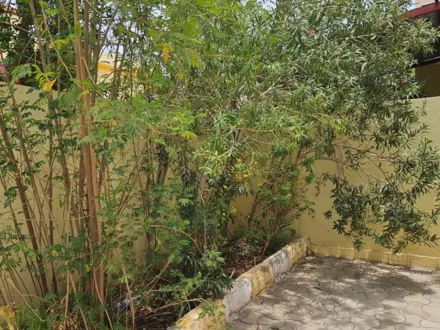 Cite Hamdani - Maison F4 à Louer