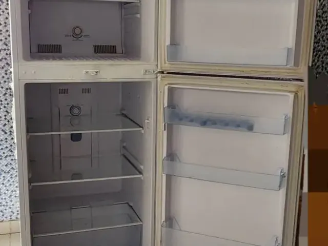 Frigo