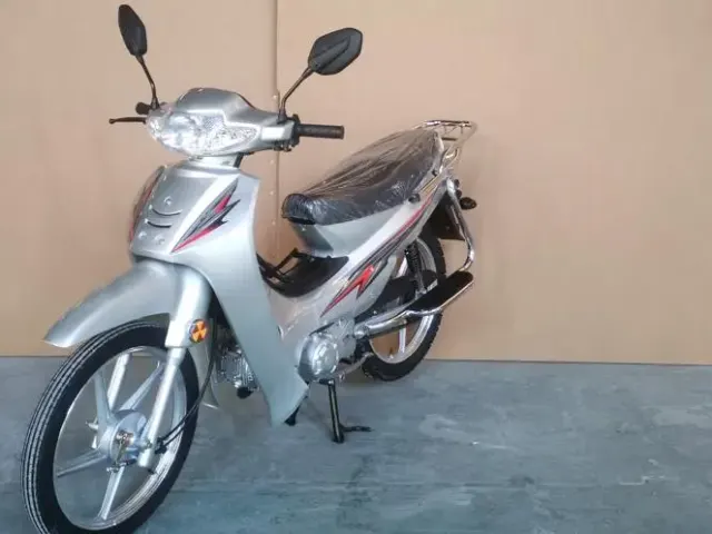 Offre Exceptionnelle: Nouvelle Moto à Prix Incroyable ! - photo 11 sur 12