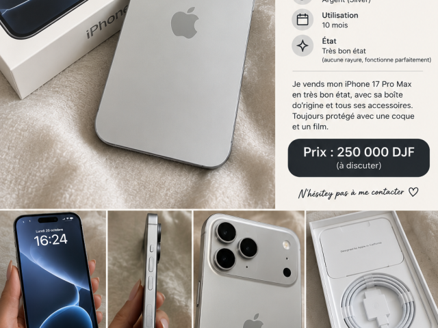 iPhone 17 Pro Max 256 Go argent avec boîte