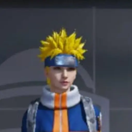 lc1.png