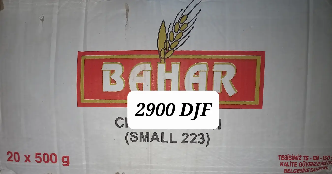 1744458407-521v.webp